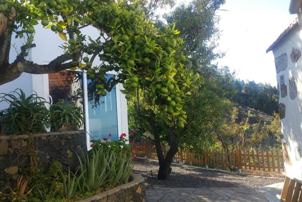 "Villa Servanda " - Relax, Nature, Wide Views Of The Sea And A Starry Sky Puntagorda エクステリア 写真