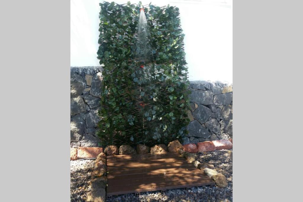 "Villa Servanda " - Relax, Nature, Wide Views Of The Sea And A Starry Sky Puntagorda エクステリア 写真
